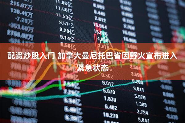 配资炒股入门 加拿大曼尼托巴省因野火宣布进入紧急状态